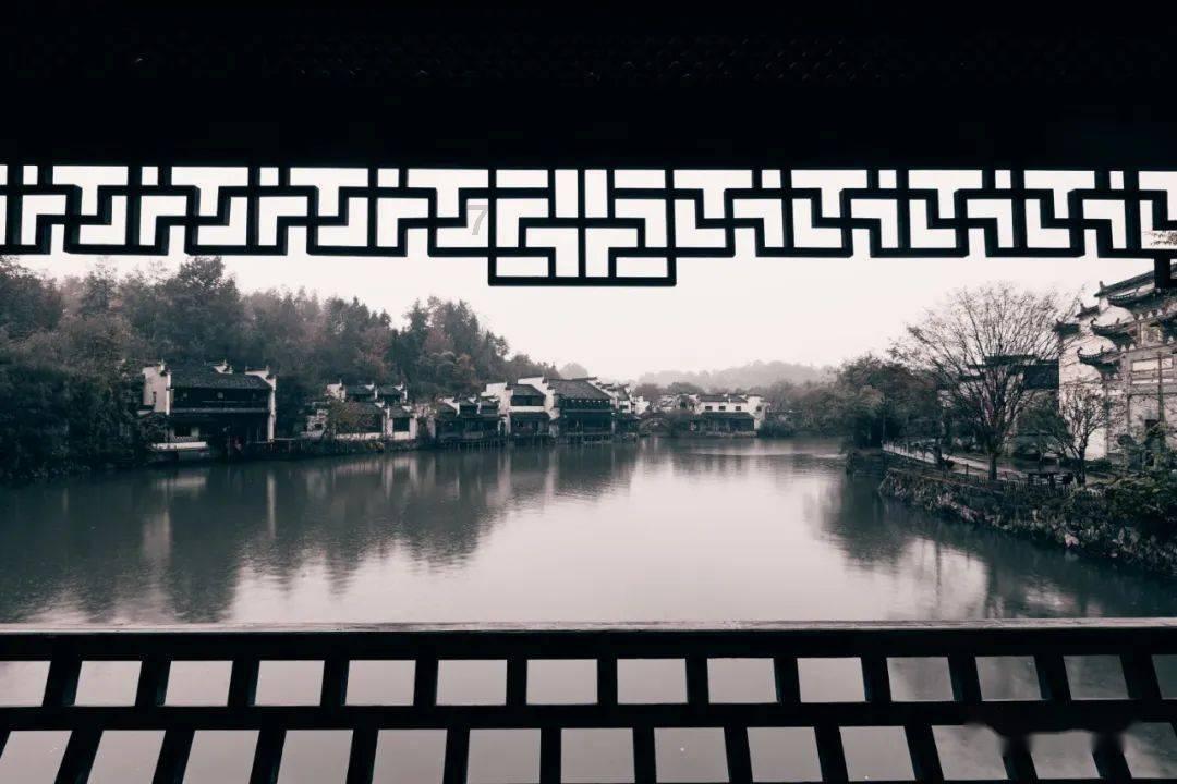 春雨直播app