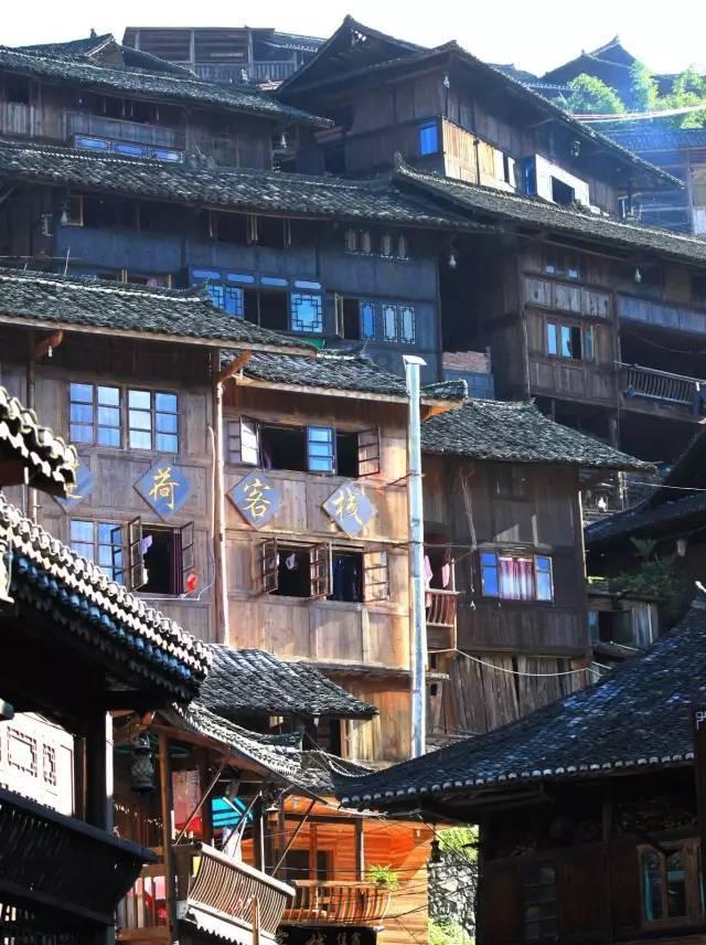 虫虫助手下载